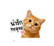 882648410