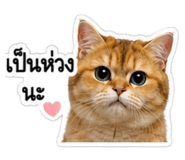 882648423