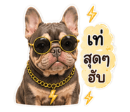 882648437