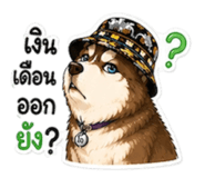 882649066