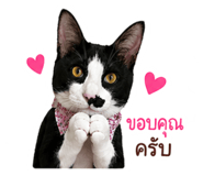 882649363