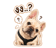 882660725