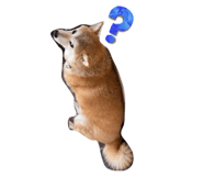 882680057
