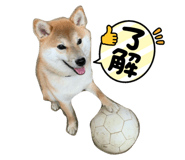 882680062