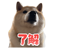 882680063