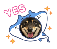 882687131