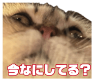 882688031
