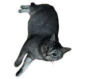 882690149
