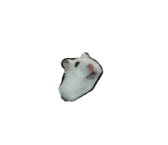 882707192