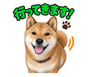 882708079