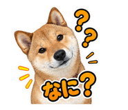 882708080