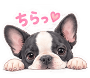 882711559
