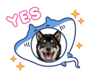 882718186
