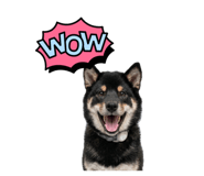 882718188
