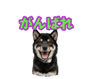 882718201
