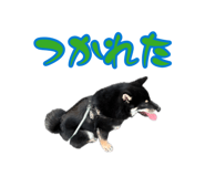 882718202