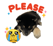 882718206