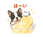 882723749