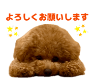 882738684