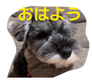 882740501
