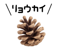 882785575