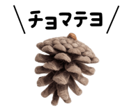 882785581