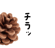 882785589