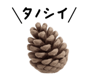 882785593