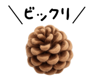 882785596