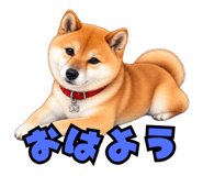 882790829
