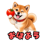 882790842