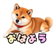 882790844