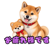 882790855