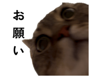 882792801