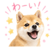 882795141