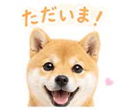882795147