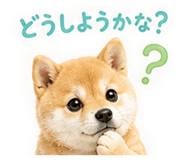 882795164
