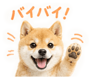 882795166