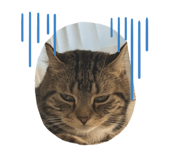882803232