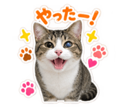 882815629