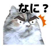 882819743