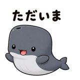882829646