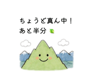 882838703