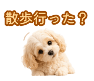 882843437