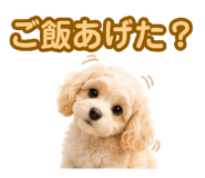 882843438