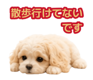 882843442