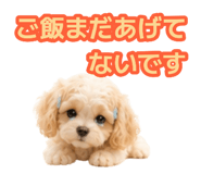 882843443