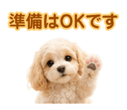 882843448