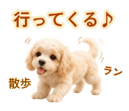 882843449