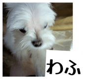 882844234